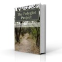 Book Review | The Polyglot Project