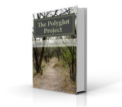 Introducing The Polyglot Project