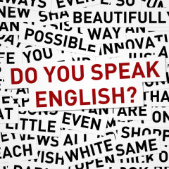 Effects of English Hegemony on Education