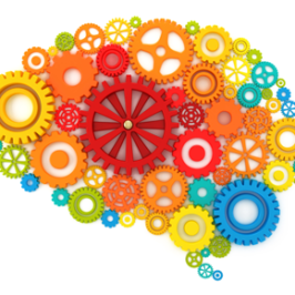 Supercharge Language Acquisition by Improving Brain Fitness