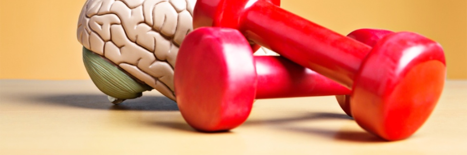 Supercharge Language Acquisition by Improving Brain Fitness
