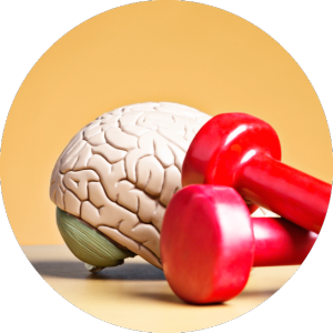 Supercharge Language Acquisition by Improving Brain Fitness