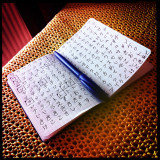 Busted! Five Myths About Learning New Languages Debunked