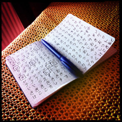 Busted! Five Myths About Learning New Languages Debunked